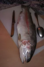IMAG0383.webp IMAG0383.webp