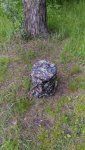 P_20160613_205046.jpg