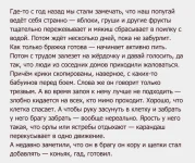 FB_IMG_1467094334610.webp