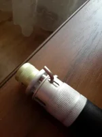 gsvdsg.webp