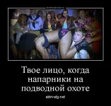 dm_temp_image_3300616153423488108.webp