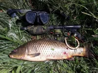 Карп 3 кг.webp