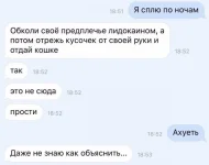 7990268.webp