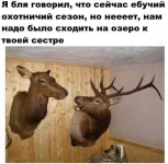 7990254.webp