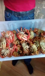 IMG-20160705-WA0011.webp