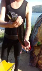 IMG-20160705-WA0005.webp