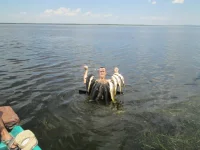 IMG_1199_1021x766.webp