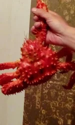 IMG-20160706-WA0003.webp