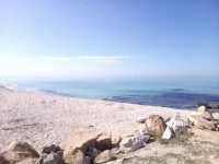 IMG-20160707-WA0002.webp