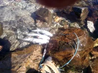 IMG-20160707-WA0000.webp