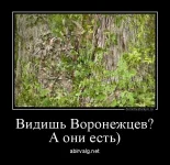 dm_temp_image_30807162155241849768.webp