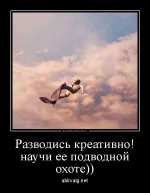 dm_temp_image_31107162355215524167.webp