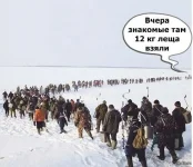 6584666-Р.webp