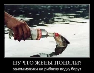 162814263485200182-Р.webp