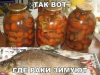 getImage %282%29-Р.webp