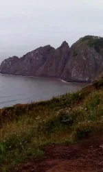 IMG-20160712-WA0001.webp