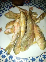 IMG-20160717-WA0002.webp