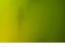 Screenshot_1.webp