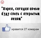 2549398791.webp