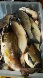 20160719_154727.webp