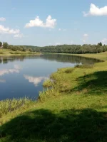IMG_20160806_144929.webp