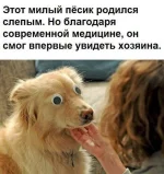 0101.webp