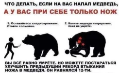 FB_IMG_1471206413144.webp