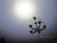 -88693455 (1).webp