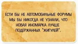 8259041.webp
