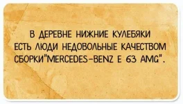 8259046.webp