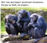 0101.webp