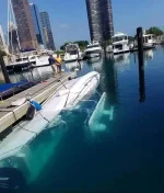 FB_IMG_1473755362672.webp