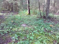 image (1).webp