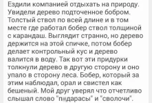 0000000.webp