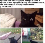 000.webp