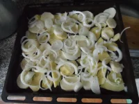 SAM_2092.webp