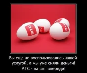 8554700.webp