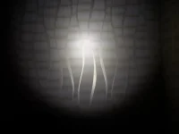 SAM_2117.webp