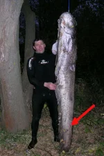DSCN7962__.webp