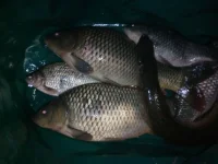 IMG_20161022_214459.webp IMG_20161022_214459.webp