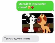 14681674_1461022820581228_7185356672241428031_n.webp