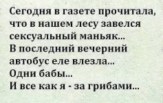 3iXT4J_7mUs.webp