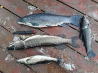 20161031_120507.webp