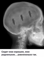 14962567_10208280994250443_6052335917481729478_n.webp