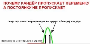 15032641_1789757261298186_3192358456767427324_n.webp