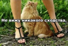 0My8S8hqrRg.webp