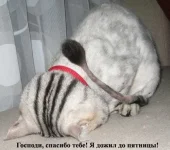 spasibogospodi.webp