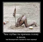 220.webp