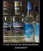 1273823240_1.webp