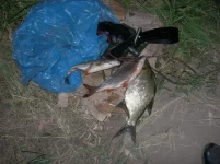 DSCN8823.webp